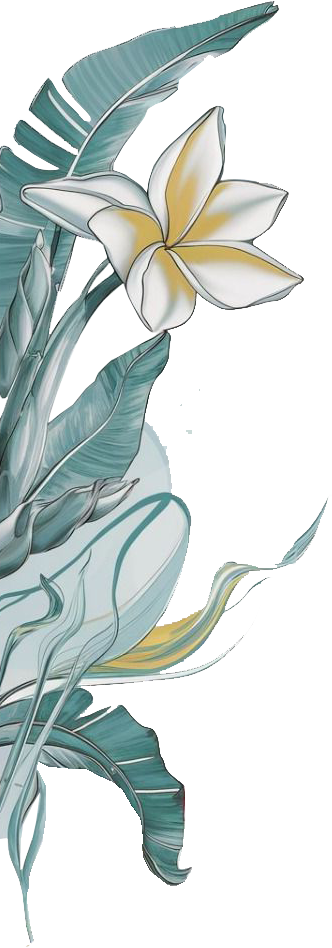 lampu
